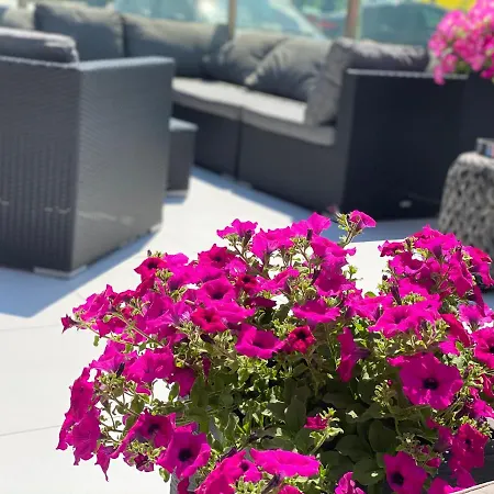 Hotel Księżyc W świebodzicach