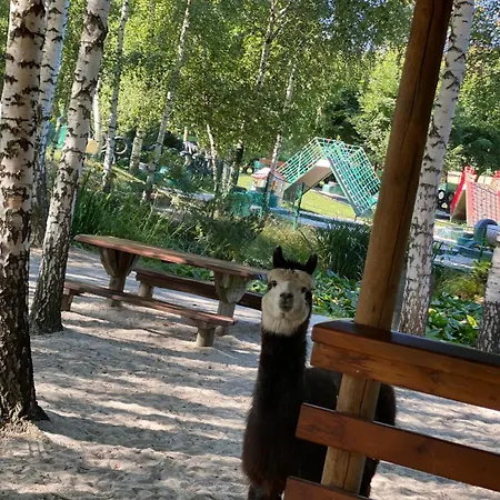 Księżyc W świebodzicach Hotel