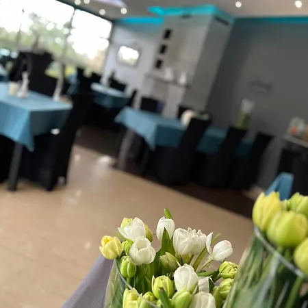 Księżyc W świebodzicach Świebodzice