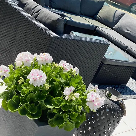 Księżyc W świebodzicach