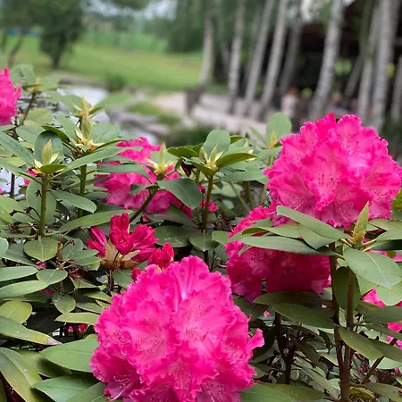 Księżyc W świebodzicach Hotel 2*