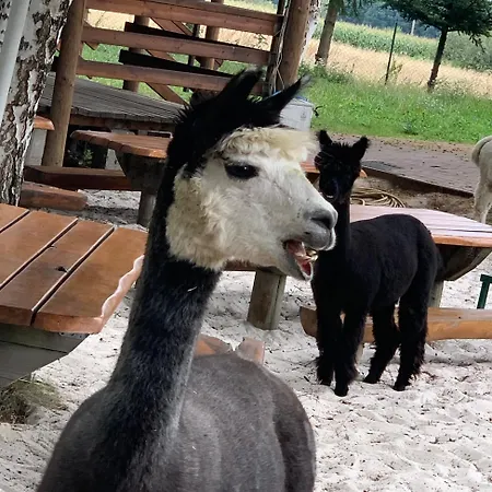 Księżyc W świebodzicach 2*